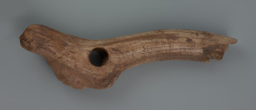 laska szamańska ze Szczecina-Podjuch - ujęcie z tyłu; Ornamentowany przedmiot z poroża jelenia interpretowany jako laska szamańska. Inne możliwe (choć mało prawdopodobne) interpretacje to motyka lub oprawka ciosaka. Poroże (prawa tyka) pozyskane zostało z dorosłego, zdrowego samca zabitego późnym latem lub jesienią, o czym świadczą pozostałości czaszki zachowane przy róży. Oczniak i nadoczniak zostały obcięte, podobnie jak tyka. Zabytek ma niemal gładką powierzchnię (uperlenie zostało usunięte). Zabytek pokrywają serie linii połączonych z krótkimi, skośnymi kreskami (tzw. jednostronna jodełka). Jasna barwa jest efektem wysychania zabytku.