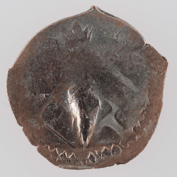 N/1432/ML - AV. Kolumny Giedymina obwiedzione pojedynczą obwódką.
RV. Grot włóczni z krzyżykiem otoczony pojedynczą obwódką.