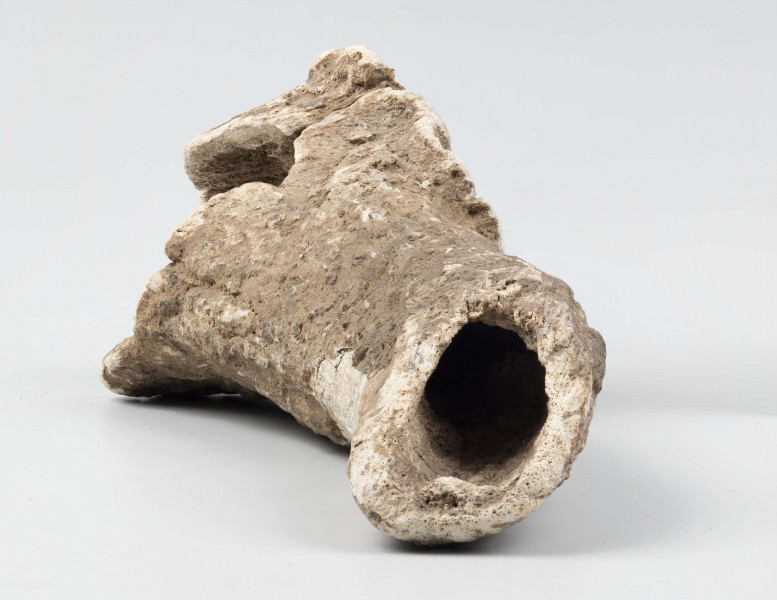 Topór rogowy z asymetrycznym jednostronnie scietym ostrzem i elipsowatym otworem do osadzania rekojesci