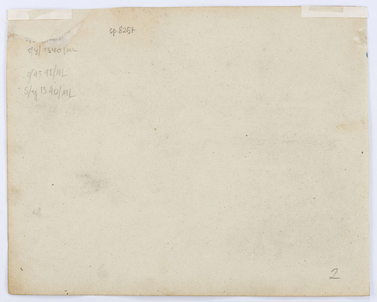 Widok zabudowań Starego Miasta w Lublinie. Złożony z trzech oddzielnych szkiców przedstawiających ruiny kościoła św. Michała u góry, na dole po lewej Bramę Rybną (podpisana błędnie jako Grodzka) i Bramę Krakowską po prawej wraz z przyległymi zabudowaniami.
u dołu napis oł.: Lublin
Każdy ze szkiców opatrzony u dołu podpisem - górny: Lublin Ś-ty Michał, lewy dolny: Grodzka Brama i zatarty Lublin, prawy dolny: Krakowska Brama