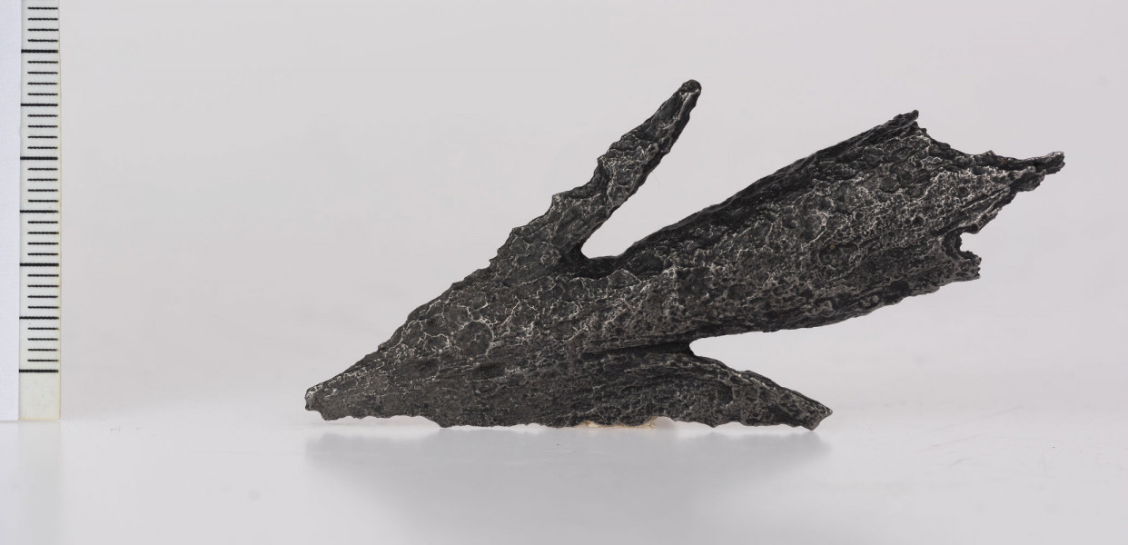 1626/A/ML - Grot dzirytu z zadziorami. Mały, żelazny, krótki grot dzirytu posiada szeroko rozstawione zadziory. Na krawędzi tulejki znajduje się trzeci zadzior. Tulejka jest niedokuta. Przedmiot ten jest najbliższy harpunom – narzędziom do połowu ryb – znanym z trzech grobów na cmentarzysku w Oblinie na Mazowszu, które datowane są na drugą połowę II w. n.e.