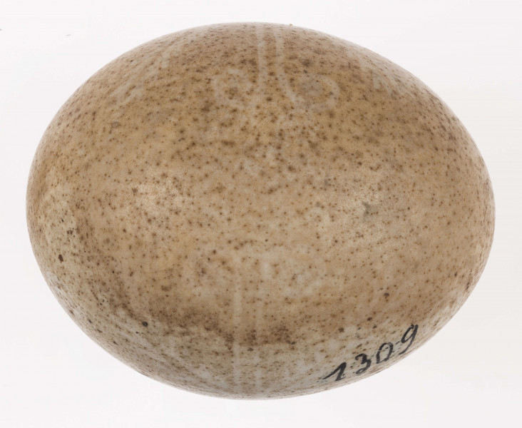 E/1309/ML - Technika batik. Motyw krzyża. Barwa tła brązowa, barwa motywu biała.