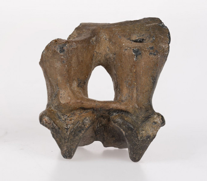 Fragment ucha naczynia ozdobionego plastycznym wyobrażeniem pary wołów sprzęgnietych jarzmem pyski zarysowane schematycznie ostro zarysowane duże kręcone do tyłu rogi grzbiety zwierząt wymodelowane kanciasto nogi przednie nie sa rozdzielone tworzą gładką szeroką powierzchnie nogi tylne przedstawione schematycznie rozdzielone kolistymi otworkami jarzmo łączące karki zwierząt ma postać poprzeczki nieco pogrubionej na karakch wołów