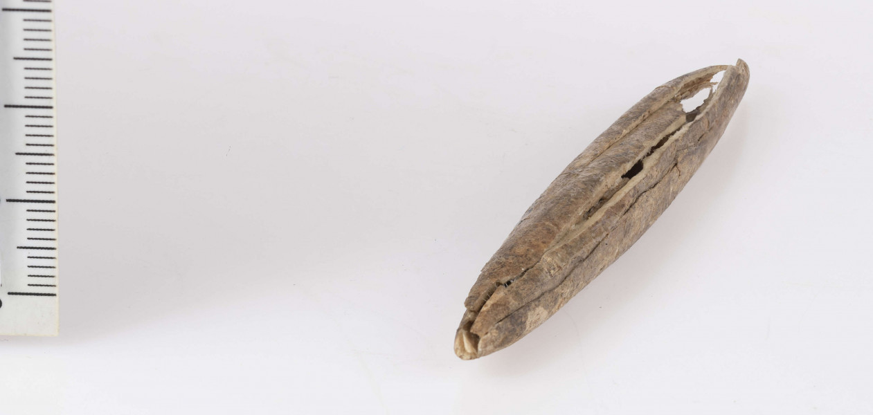 686/A/ML/21 - Ostrze kosciane dwustronne, kształtu wrzecionowatego, w przekroju poprzecznym koliste. Kość barwy naturalnej. Starannie wygładzona na całej powierzchni. Stan zachowania - narzędzie uszkodzone na obu końcach. Zabytek sklejony z kilku części.
