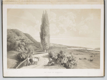 S/G/1519/ML - Pejzaż z okolic Parchatki.