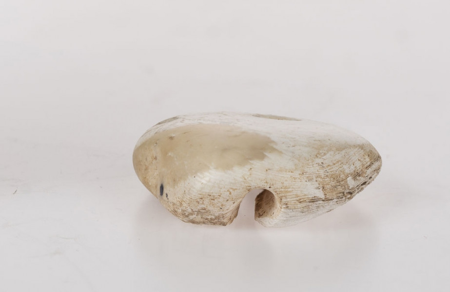 Amulet z przewierconym otworem, kształtu nieregularnego, płaski, od spodniej strony rowek biegnący przez środek. Amulet wykonany ze skały wapiennej (biała kreda)