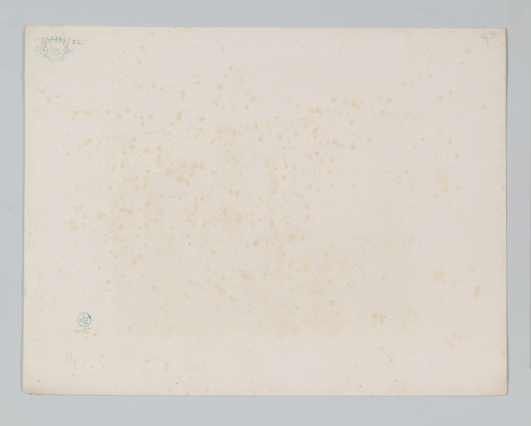 S/G/530/ML - Widok kościoła Wniebowzięcia Najświętszej Marii Panny /powizytkowskiego/ w Lublinie. Usytuowany po prawej stronie przedstawienia, w ujęciu od południowo - zachodniego narożnika. Jednonawowy, nakryty dachem z sygnaturką, z węższym prezbiterium. Fasada z masywną wieżą na planie kwadratu, 2-osiowa, z 2 otworami wejściowymi i 2 otworami okiennymi. Szczyt 3-kondygnacyjny z podziałami pilastrowymi, zwieńczony sterczynami.  Na pierwszym planie perspektywiczny odcinek szerokiej ulicy. W głębi po lewej kilka kamienic z górującą w oddali wieżą ratusza. Przedstawienie szczegółówe, w tonacji szarości i beżu.
sygn. pod ryc. l.: Rys. z natury A. Lerue; śr.:Odbito w Lit. A. Pecq & Co w Warsz 482; p.: Lit. W. Walkiewicz 
U góry śr. napis: ALBUM LUBELSKIE. ; p.:  No 2
pod ryc.: KOŚCIÓŁ PANNY MARYI (BRYGIDEK) Fundacya Władysława Jagiełły.