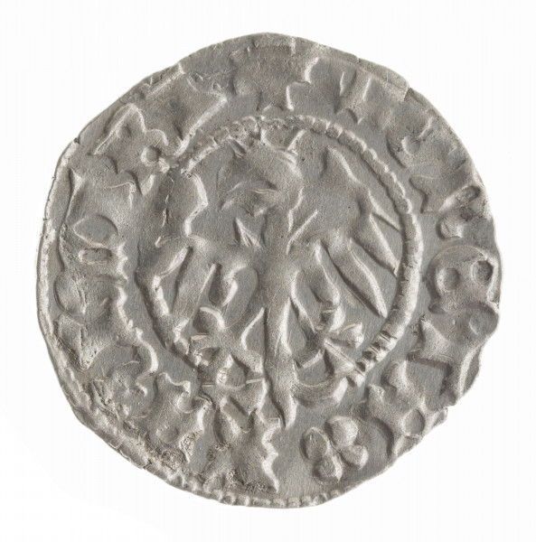 AV. W obwódce nieliniowej orzeł jagielloński z głową zwróconą w lewo z otwartym dziobem. Napis otokowy:
+ MONETA . KAZIMIRI
W napisie miejscu kropki czterolistek.
Całość ujęta nieliniową obwódką, tutaj widoczną w części.

RV. W obwódce perełkowej korona z połączonymi płatkami lilii dolnych i górnych. W lewym dolnym polu trójlistna koniczynka na szypułce, w prawym krzyżyk. Nad szczytem środkowej lilii znak przypominający listek koniczyny. Pod koroną herb Poraj, należący do podskarbiego Piotra Kurozwęckiego. Herb częściowo wchodzi w pole napisu dookolnego rozdzielając go. Napis dookolny:
+ REGIS . POLONIE
W napisie w miejscu kropki czterolistek.
Całość ujmuje nieliniowa obwódka, tutaj widoczna w części.
