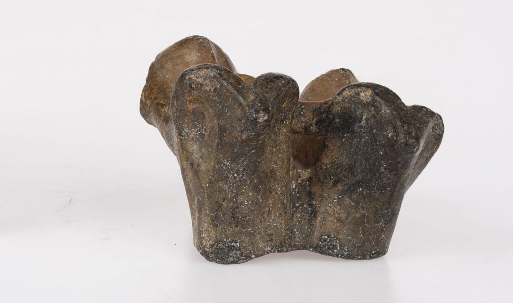 Fragment ucha naczynia ozdobionego plastycznym wyobrażeniem pary wołów sprzęgnietych jarzmem pyski zarysowane schematycznie ostro zarysowane duże kręcone do tyłu rogi grzbiety zwierząt wymodelowane kanciasto nogi przednie nie sa rozdzielone tworzą gładką szeroką powierzchnie nogi tylne przedstawione schematycznie rozdzielone kolistymi otworkami jarzmo łączące karki zwierząt ma postać poprzeczki nieco pogrubionej na karakch wołów