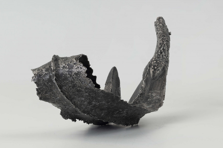 Żelazny grot broni drzewcowej zdobiony wyjątkową, srebrną inkrustacją jest częścią uzbrojenia włożonego do grobu ciałopalnego wojownika z początku III w. n.e. 
Grób przedstawiciela ludności kultury przeworskiej został odkryty przypadkowo w 1959 roku. 
Oprócz trzech grotów, pochówkowi wojownika towarzyszyły: żelazne umbo, dwie ostrogi, tok brązowy (prawdopodobnie okucie drzewca oszczepu) a także żelazny miecz z miedziana inkrustacją wyobrażającą rzymskich bogów. Pochowany na terenie obecnej wsi Podlodów wojownik należał do elity wojskowej przedstawicieli kultury przeworskiej. Liść grotu jest smukły i długi, a u podstawy cylindrycznej i krótkiej tulejki znajduje się żeberko. Na obydwu częściach grotu znajdują się zdobienia inkrustowane srebrem - znaki o znaczeniu symbolicznym: trójkąty sferyczne, punkty, podwójne widełki. Przypominają one symbole religijne (ewentualnie znaki magiczne lub własnościowe) - tamgi. Niektórzy badacze zakładają, że mogły one zostać przejęte przez Sarmatów. 
Wymiary dodatkowe: szer. 4,0 cm 