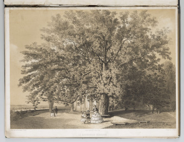 S/G/1508/ML - Scena rodzajowa na tle pejzażu parku Czartoryskich w Puławach. Na pierwszym planie wiekowy kasztan, w oddali Kiosk.