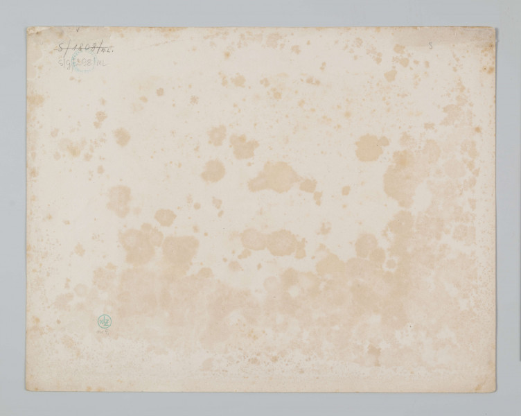 S/G/298/ML - Widok Nowego Ratusza w Lublinie w scenerii zimowej. Usytuowany w głębi, ukazany w widoku od strony fasady z perspektywy ul. Królewskiej. 
sygn. pod ryc. l.: Rys. z natury A. Lerue.; śr.: Odbito w Lit. A. Pecq  & Co. w Warsz. 482; p.: Lit. J. Cegliński; niżej napis: MAGISTRAT MIASTA DAWNIÉJ KOŚCIÓŁ.; nad ryc.: ALBUM LUBELSKIE.  No3.

U góry napis: ALBUM LUBELSKIE  No 3
pod ryc.: MAGISTRAT MIASTA  DAWNIEJ KOŚCIÓŁ