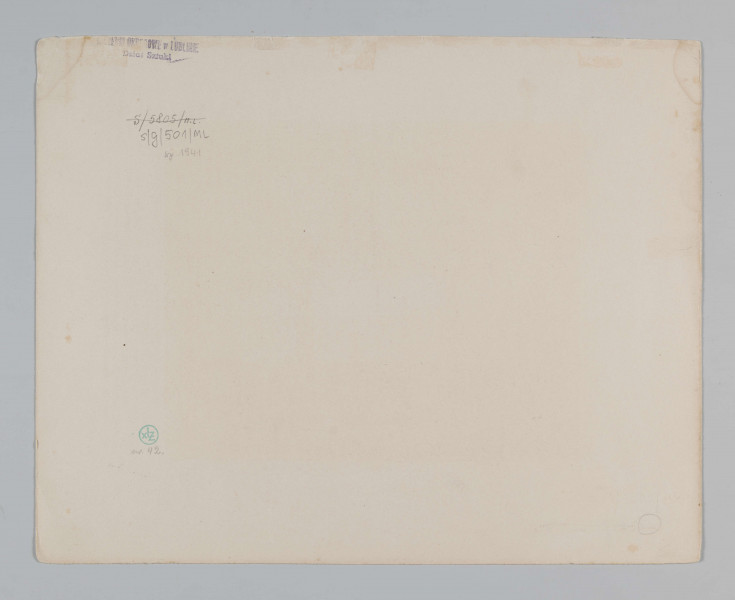 S/G/501/ML - Widok pałacu Marynki w Puławach zbudowanego dla księżnej Marii Wirtemberskiej. Wzniesiony wg proj. Aignera w latach 1791-96 w stylu klasycystycznym. Na pierwszym planie fragment parku z centralnie przedstawionym konnym wozem, powożonym przez mężczyznę, przy murze parkowym dwie kobiety. Pałac w oddali, widoczny zza drzew, dziewięcioosiowy,  jednopiętrowy z kolumnowym portykiem wgłębnym na osi. Na fryzie portyku napis: 