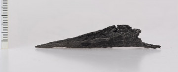 1626/A/ML - Grot dzirytu z zadziorami. Mały, żelazny, krótki grot dzirytu posiada szeroko rozstawione zadziory. Na krawędzi tulejki znajduje się trzeci zadzior. Tulejka jest niedokuta. Przedmiot ten jest najbliższy harpunom – narzędziom do połowu ryb – znanym z trzech grobów na cmentarzysku w Oblinie na Mazowszu, które datowane są na drugą połowę II w. n.e.