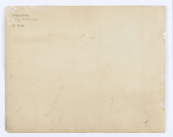 Widok zamku w Janowcu w ujęciu od północnego wschodu, od strony zrujnowanego wjazdu, z zachowanymi pozostałościami reprezentacyjnej bramy i narożną wieżą krytą kopułą. Fragment elewacji częściowo zasłonięty przez rozłożystą koronę drzewa. Pod drzewem pochylony nad szkicownikiem mężczyzna. 
