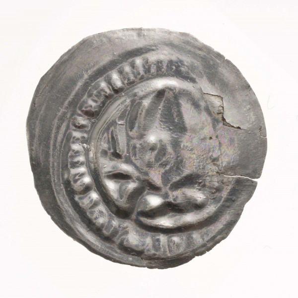 Popiersie księcia na wprost w mitrze na głowie i z gałązką palmową w lewej dłoni. Wokół popiersie obwódka. Napis z lewej strony głowy księcia niewidoczny.