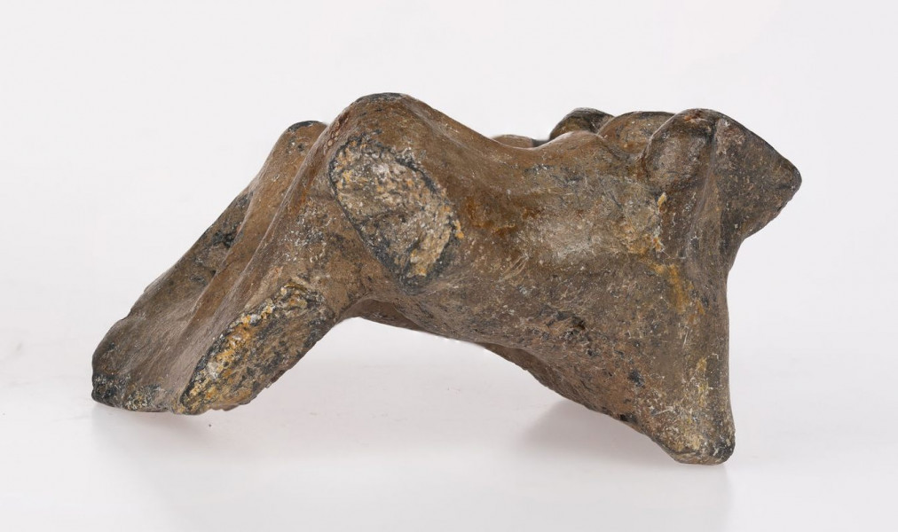 Fragment ucha naczynia ozdobionego plastycznym wyobrażeniem pary wołów sprzęgnietych jarzmem pyski zarysowane schematycznie ostro zarysowane duże kręcone do tyłu rogi grzbiety zwierząt wymodelowane kanciasto nogi przednie nie sa rozdzielone tworzą gładką szeroką powierzchnie nogi tylne przedstawione schematycznie rozdzielone kolistymi otworkami jarzmo łączące karki zwierząt ma postać poprzeczki nieco pogrubionej na karakch wołów