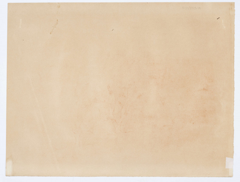 Pejzaż. Na lekko pagórkowatym terenie, w centrum kompozycji rozłożyste drzewo o grubych, rozgałęzionych konarach i bujnej koronie. Przed nim po prawej niższe drzewko o dość grubym pniu. Z tyłu gęste zarośla drzew i krzewów. Przy lewej krawędzi fragment kolejnego drzewa, za nim, w głębi zabudowania. Horyzont obniżony. Formy zaznaczone miękkimi, roztartymi kreskowaniami, miejscami podkreślone delikatnym konturem
