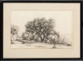 Pejzaż. Na lekko pagórkowatym terenie, w centrum kompozycji rozłożyste drzewo o grubych, rozgałęzionych konarach i bujnej koronie. Przed nim po prawej niższe drzewko o dość grubym pniu. Z tyłu gęste zarośla drzew i krzewów. Przy lewej krawędzi fragment kolejnego drzewa, za nim, w głębi zabudowania. Horyzont obniżony. Formy zaznaczone miękkimi, roztartymi kreskowaniami, miejscami podkreślone delikatnym konturem
