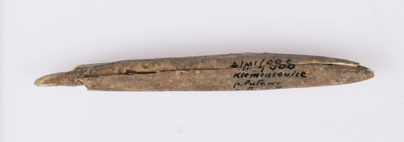 Ostrze kosciane dwustronne, kształtu wrzecionowatego, w przekroju poprzecznym koliste. Kość barwy naturalnej. Starannie wygładzona na całej powierzchni. Stan zachowania - narzędzie uszkodzone na obu końcach. Zabytek sklejony z kilku części.