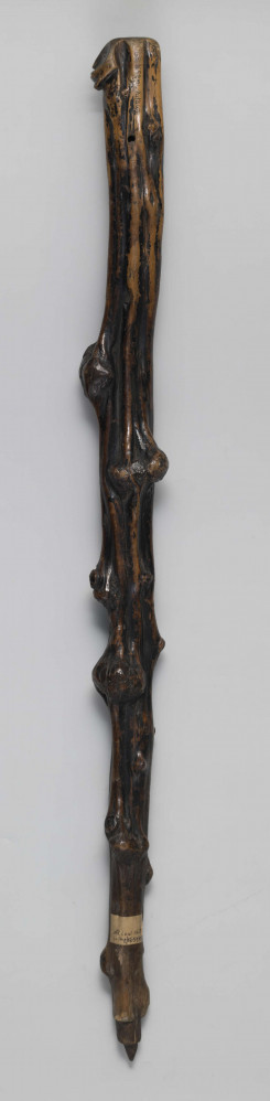 E/1651/ML - Laska drewniana z jednego kawałka drewna; zachowane naturalne wyżłobienia i pozostałości po konarach, tworzące ozdobne guzy. Główka laski spłaszczona, z wyrzeźbioną antropomorficzną twarzą z zaznaczonymi oczami, nosem i ustami. Koniec laski zwężony, zakończony elementem walcowatym oraz ostro zakończonym wielobokiem. Laska politurowana pierwotnie, następnie malowana na całej powierzchni - pozostałości czarnej farby.