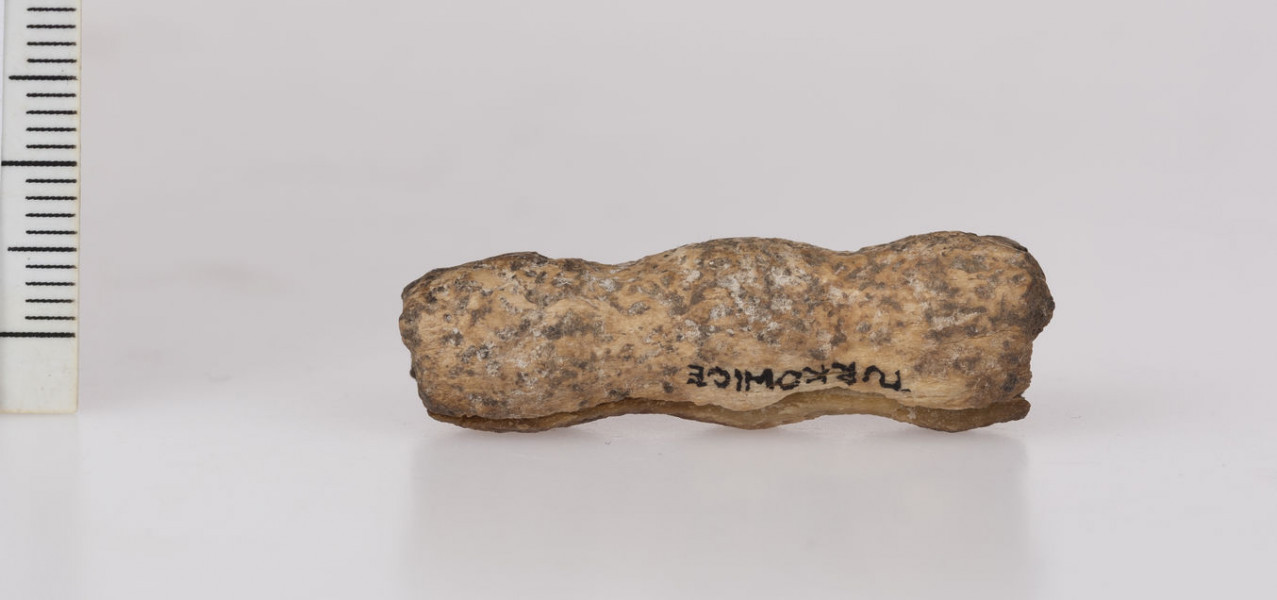 1490/A/ML/1 - Paciorek 