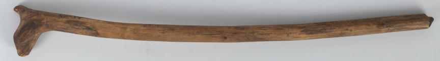 E/43/ML - Kij pasterski wykonany z jednego kawałka drewna, zakończony główką z sęków.
