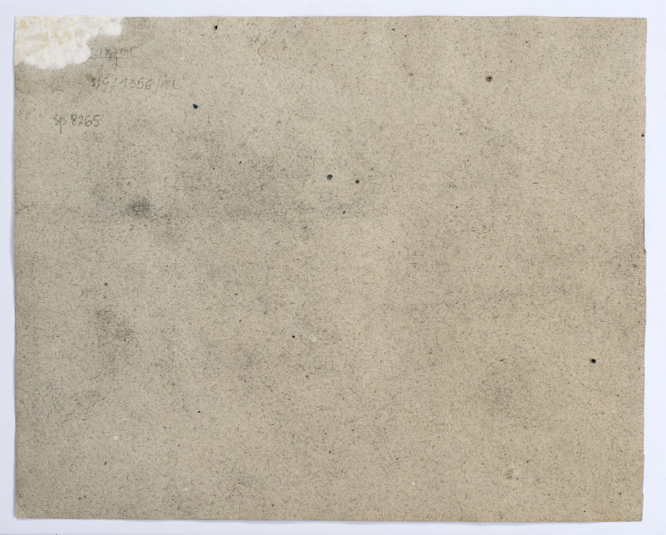 Widok zamku w Bochotnicy pod Kazimierzem. W centrum kompozycji pozostałości murów zamkowych, z zachowanymi w lewej części otworami okiennymi. Dolna część murów przesłonięta przez krzewy. W tle lesiste zarośla, na pierwszym planie biegnący ukośnie pas schematycznie zarysowanej roślinności.
 
