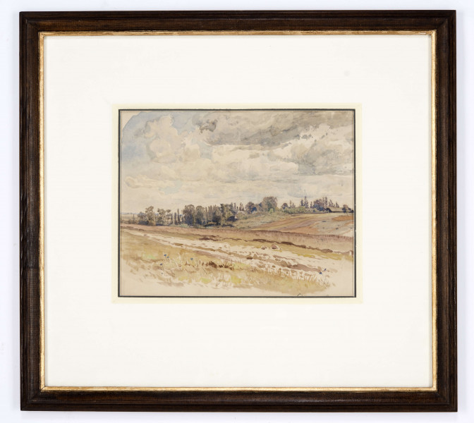 Rozległy pejzaż z pasami pól na pierwszym planie. Linię horyzontu wyznacza pas drzew  i zarośli z ukrytymi wśród nich domami i zabudowaniami gospodarczymi. Górną partię kompozycji stanowi malowniczo zachmurzone niebo. Przedstawienie operuje  drobnymi plamami kolorów. Brązy i ciepłe zielenie w partii pól. Ciemny pas drzew w tonacji brązów i zieleni, z zaznaczonym granatem i fioletem cieniami. Chmury wydobyte błękitem i szarością.
