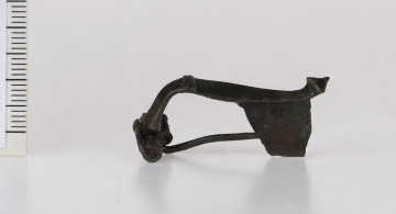 1834/A/ML/1 - Fibula brązowa z poprzecznie żłobkowanym grzebieniem na kabłąku, górną cięciwą i 13-to zwojową sprężyną. Nóżka fibuli zakończona stożkowatym guzkiem. Pochewka płaska, szeroka, delikatnie zawinięta.