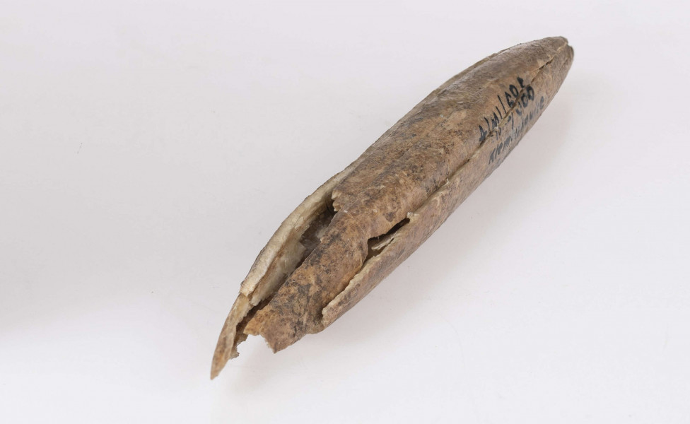 Ostrze kosciane dwustronne, kształtu wrzecionowatego, w przekroju poprzecznym koliste. Kość barwy naturalnej. Starannie wygładzona na całej powierzchni. Stan zachowania - narzędzie uszkodzone na obu końcach. Zabytek sklejony z kilku części.