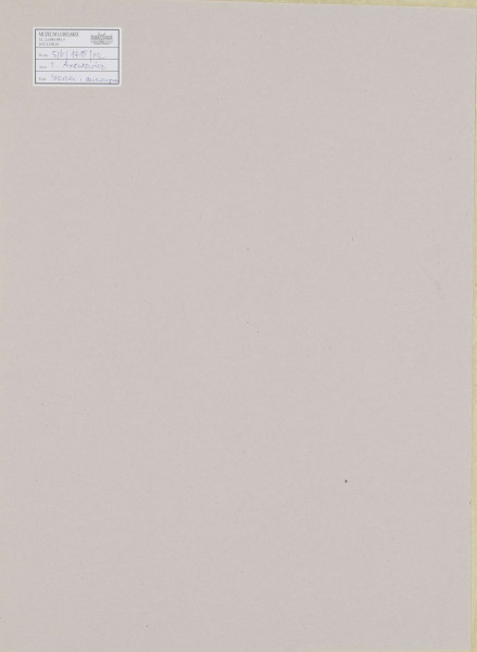 S/G/1715/ML - Scena rodzajowa przedstawiająca dziewczynę i starca w otoczeniu  jesiennego krajobrazu. Starzec przedstawiony na tle pnia drzewa, w pozycji siedzącej, ujęty do wysokości kolan, 3/4 w prawo. Głowa pochylona do przodu, siwe włosy i broda. Twarz pokryta siecią zmarszczek, wychudzona, o zapadniętych policzkach. Ubrany w brązowy płaszcz, dłonie złożone, wsparte o laskę. Obok niego dziewczyna, prawym ramieniem oparta o  drzewo. Stojąca, głowa 3/4, lekko pochylona w prawo, tułów en face. Twarz o łagodnych rysach, wzrok skierowany ku górze, drobne wąskie usta. Na twarzy wyraz smutku. Ubrana w luźną, brązową sukmanę, na głowie związana z tyłu karminowa chustka z akcentami zieleni, błękitu i żółcieni na rogach. W tle zarysy bezlistnych drzew.
sygn. p.d.: T. axentowicz