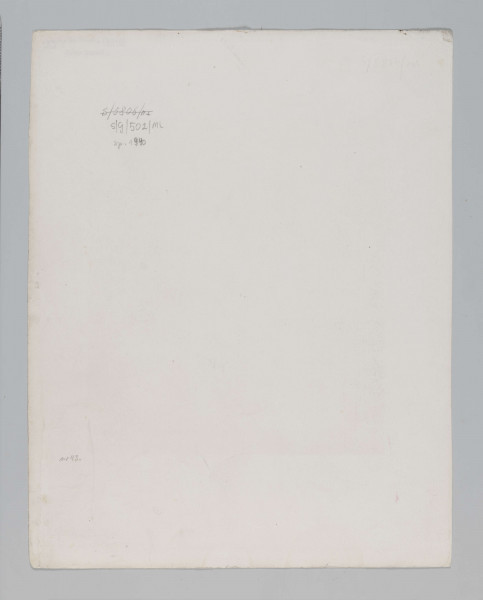 S/G/502/ML - Widok drzewa z figurą Matki Boskiej w parku Czartoryskich w Puławach. W centrum kompozycji potężny pień drzewa z fragmentem korony. W dolnej części pnia dwa kamienne stopnie, obok postument, na którym wazon. W niszy wewnątrz pnia widoczna rzeźbiona figura Matki Boskiej. Po lewej, przy kamiennych stopniach postać kobieca, w pozycji klęczącej, ze złozonymi dłońmi. W tle widok dalszych planów parku.

