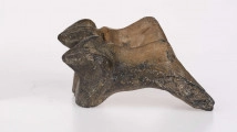Nieregularny fragment naczynia z gliny