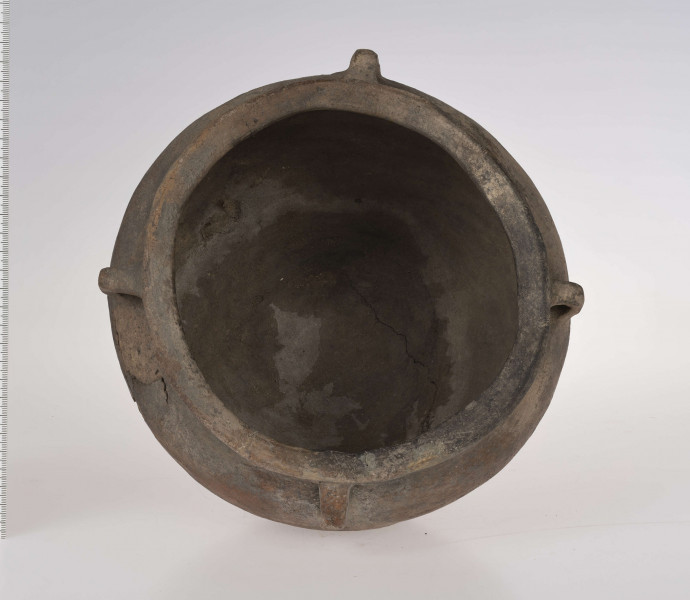 Baniaste naczynie z czterema uszkami o brunatnej powerzchni. Dno niewyodrębnione, delikatnie wklęsłe. Szyjka krótka, cylindryczna.