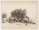 Pejzaż. Na lekko pagórkowatym terenie, w centrum kompozycji rozłożyste drzewo o grubych, rozgałęzionych konarach i bujnej koronie. Przed nim po prawej niższe drzewko o dość grubym pniu. Z tyłu gęste zarośla drzew i krzewów. Przy lewej krawędzi fragment kolejnego drzewa, za nim, w głębi zabudowania. Horyzont obniżony. Formy zaznaczone miękkimi, roztartymi kreskowaniami, miejscami podkreślone delikatnym konturem
