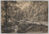 R/5081/ML - Pejzaż leśny z płynącym w dolinie wśród drzew strumieniem. Wstęga strumienia z wystającymi ponad tałflę wody kamieniami, ograniczona 
porośniętym zaroślami brzegiem. Po lewej fragment drzewa o uciętej koronie, 
po prawej i w głębi gęsta ściana o bujnie ulistnionych koronach.
Przedstawienie utrzymane w odcieniach szarości, operujące drobnymi, 
nakładającymi się plamkami oddającymi strukturę ukazanych przedmiotów. Partie koron drzew, powierzchni wody i zarośli wydobyte plamami bieli.
sygn.p.d.: Adam Malinowski 1884