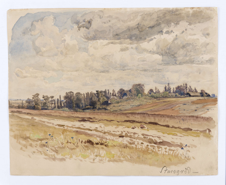 Rozległy pejzaż z pasami pól na pierwszym planie. Linię horyzontu wyznacza pas drzew  i zarośli z ukrytymi wśród nich domami i zabudowaniami gospodarczymi. Górną partię kompozycji stanowi malowniczo zachmurzone niebo. Przedstawienie operuje  drobnymi plamami kolorów. Brązy i ciepłe zielenie w partii pól. Ciemny pas drzew w tonacji brązów i zieleni, z zaznaczonym granatem i fioletem cieniami. Chmury wydobyte błękitem i szarością.
