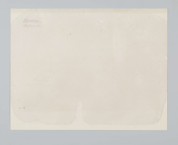 S/G/504/ML - Widok Puław przedstawiony jako rozległy pejzaż ze sztafażem. na pierwszym planie łagodne wzniesienie z kepą krzewów, po lewej dwie idące wzdłuż drogi postacie. Przy drodze dwie drewniane, kryte strzechą chaty. Za nimi szeroka płaszczyna pól. W oddali widoczne założenie pałacowo-parkowe w Puławach z widocznymi zza drzew charakterystycznymi budowlami: kościołem Wniebowzięcia Matki Bożej, pałacem Czartoryskich i świątynią Sybilli.
