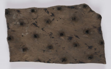 E/398/ML - Klocek wykonany z drewna. Ornament wypukły, wykonany z mosiężnych blaszek i sztyfcików nabitych w drewno. Motyw - drobne kwiatki, symetrycznie rozszerzone. Służy do drukowania tkanin.
