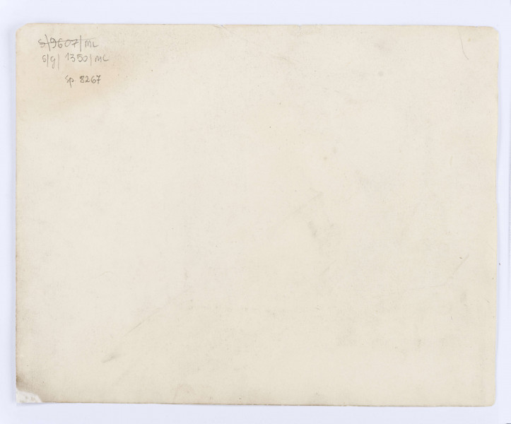 Widok ruin zamku w Janowcu w ujęciu od strony części zachodniej dziedzińca zamkowego. Na pierwszym planie fragment porośniętego roślinnością dziedzińca, po prawej część zrujnowanego południowego skrzydła zamku - tzw. Amfilady Tarłów. Pozostałości murów z widocznymi ubytkami i spękaniami. Po lewej kaplica zamkowa ujęta od strony absydy, z otworem drzwiowym, powyżej niego, po bokach dwa prostokątne okna.  Po lewej fragment północnego skrzydła.
