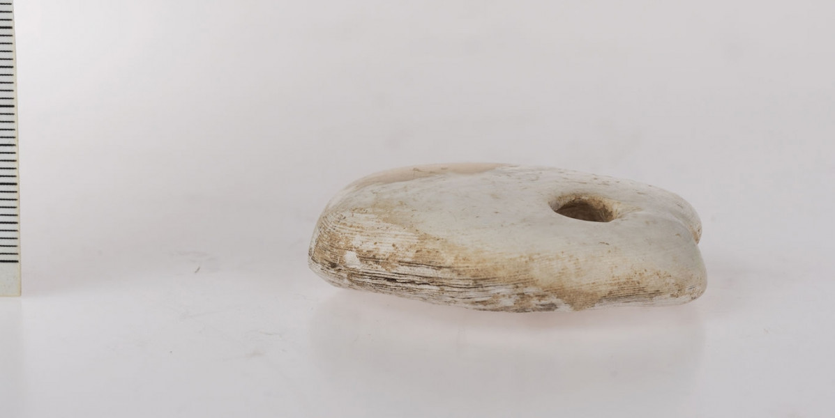 Amulet z przewierconym otworem, kształtu nieregularnego, płaski, od spodniej strony rowek biegnący przez środek. Amulet wykonany ze skały wapiennej (biała kreda)