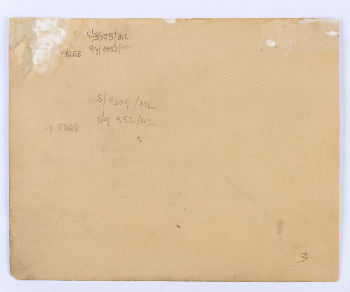 Widok ruin zamku w Janowcu w ujęciu od wschodu, od strony wjazdu - na tzw. Dziedziniec Wielki. Na pierwszym planie rozległa płaszczyzna porośniętego roślinnością dziedzińca, zamknieta ukazanym centralnie skrzydłem wschodnim. Na osi półkoliste przejście. Po prawej część zrujnowanego północnego skrzydła zamku - tzw. Domu Północnego z zamkniętymi półkoliście otworami okiennymi i drzwiowymi, po lewej amfilada południowa (Pałac Andrzeja Firleja) rozczłonkowana w partii przyziemia prostokątnymi otworami. 
