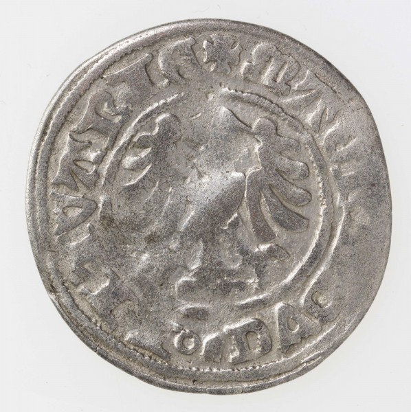 AV. W centralnym polu Pogoń litewska w lewo, miejscami wychodząca poza linię obwódki i wchodząca w pole napisu dookolnego rozdzielając go. Napis dookolny:
MON' - . - ALEXANDRI . 
Całość ujęta obwódką.

RV. W obwódce nieliniowej orzeł jagielloński. W otoku napis:
+ MAGN[I'] DVC' . LITVANIE
Całość ujęta nieliniową obwódką.
