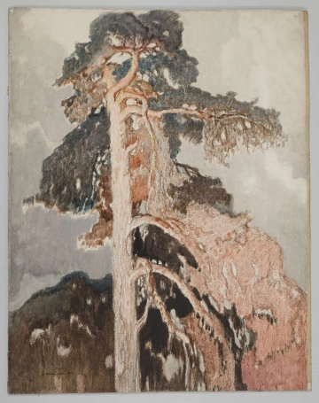 Sosna Kędzierski, Apoloniusz (1861-1939) (malarz)