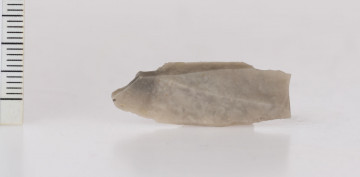 Narzędzie krzemienne w kształcie wąskiego liścia, z jednej strony płaskie, z drugiej zaostrzone pośrodku uwypuklonej powierzchni 