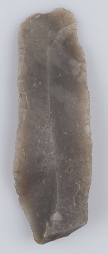 345/A/ML/12 - Makrolityczny wiórowiec z łukowatym wierzchołkiem, obie krawędzie boczne (jedna całkowicie druga w 3/4 długości)oraz wierzchołek łuskane po stronie wierzchniej płaskim retuszem przykrawędnym śęczek ścieniany.