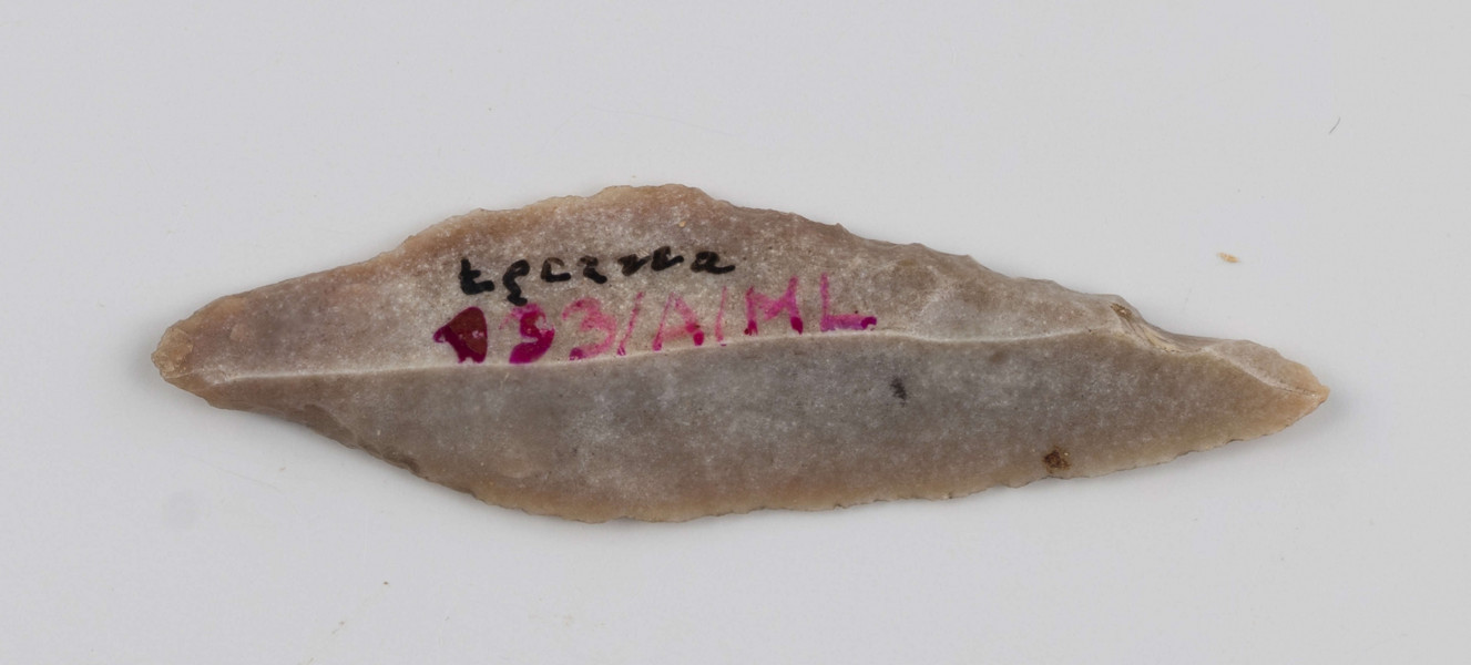 Liściak dwukątowy, nasada na stronie wierzchniej uformowana retuszem półstromym, strona spodnia nasady płasko łuskana, wierzchołem uformowany w półtylec