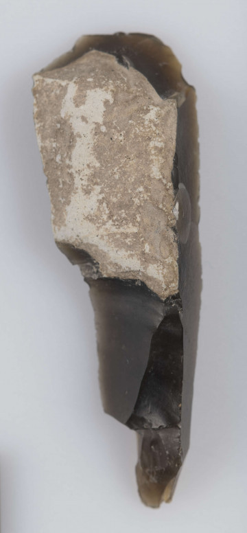 1410/A/ML/2 - Rylec jedynak o charakterystycznej mało wyrazistej formie