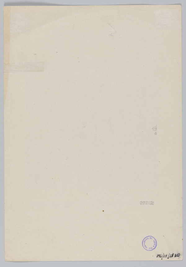 ML/H/1830 - Mapa w kolorach zieleni i brązu. Otoczona cienką, czarna ramką, posiada duży margines. Tytuł mapy w osobnym polu w lewym górnym rogu. Mapa zawiera objaśnienia w języku rosyjskim. Legenda w formie paska kolorów z objaśnieniami w dołu mapy. Całość naklejona na tekturę koloru kremowego.